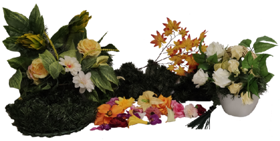 kahance_558 kahance_558